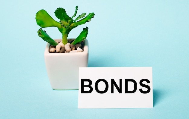 Op een lichtblauwe achtergrond - een potplant en een witte kaart met het opschrift bonds.