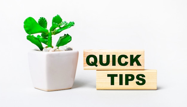 Op een lichte ondergrond een plant in een pot en twee houten blokken met de tekst QUICK TIPS