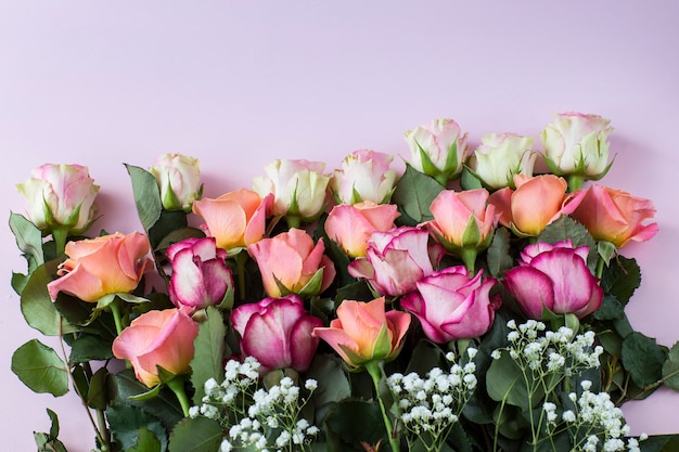 op een roze achtergrond roze rozen van verschillende tinten - voor een verjaardag, Valentijnsdag