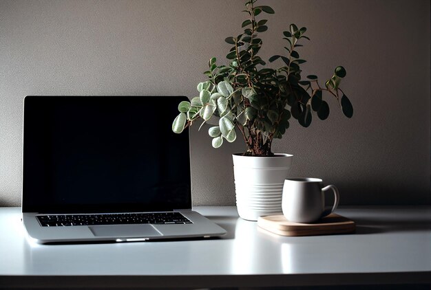 Op een tafel staat een laptop met daarnaast een potplant.