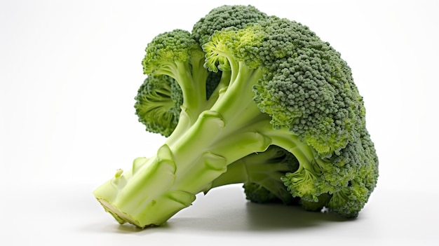 op een wit oppervlak wordt een stukje broccoli weergegeven