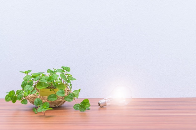 Op het bureau staan bloempotten en bloembollen