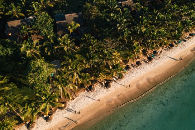 Op het prachtige strand van het eiland Mauritius langs de kust.