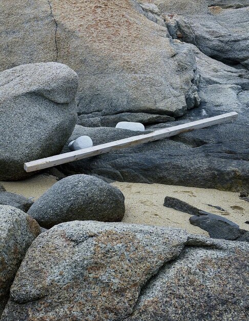 Op het strand ligt een groot stuk hout