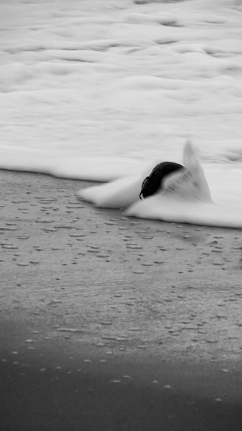 Foto op het strand