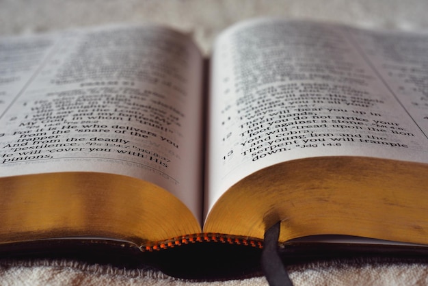 Open Bible closeup on soft surface