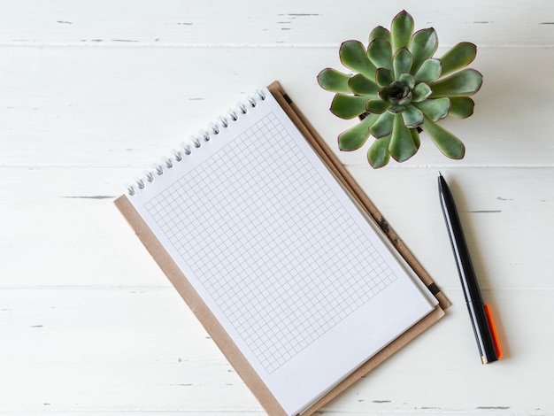 Open blank checked notebook, black pen and succulent on  white wooden background.