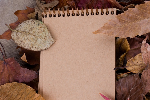 Open blank notebook with fallen autumn leaves