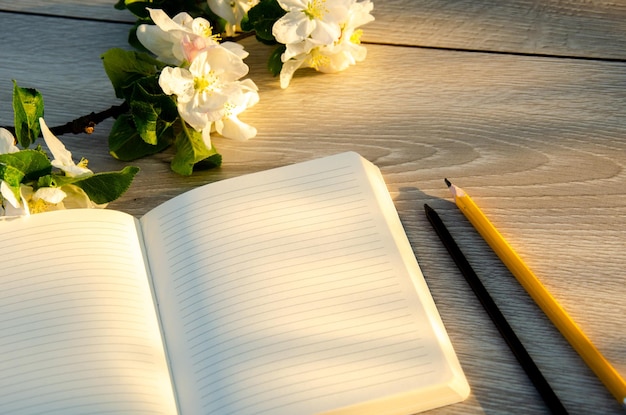 Open blank notebook with pencil and eraser on wooden table Beautiful flowers in composition Empty space for text