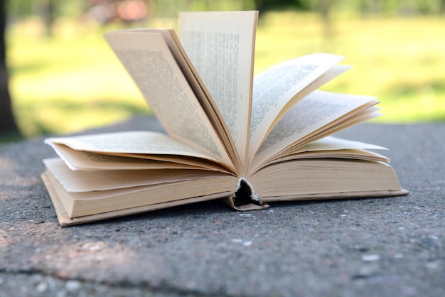 Foto open boek in park buiten