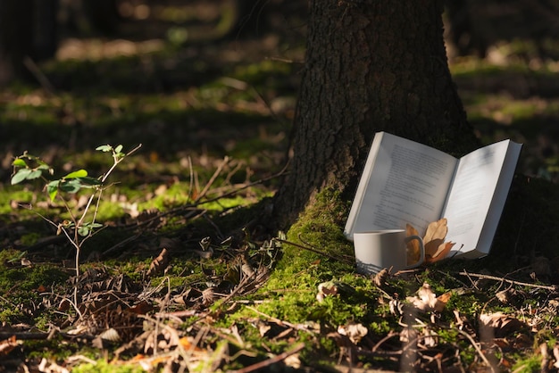 Open boek met beker tegen boomstam in het park in de herfst