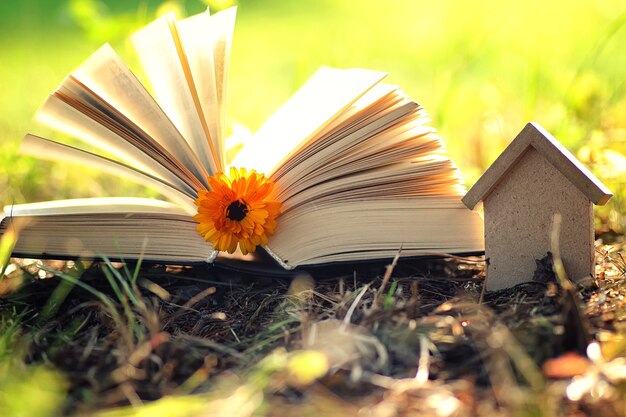 Foto open boek met bloem op gras