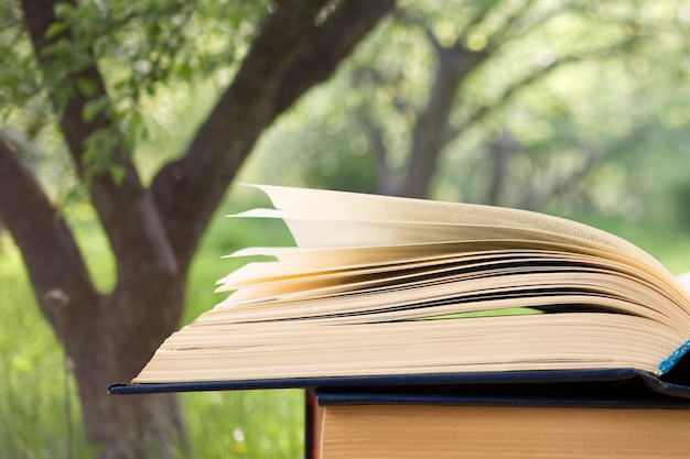 Open boek over de landschapsachtergrond