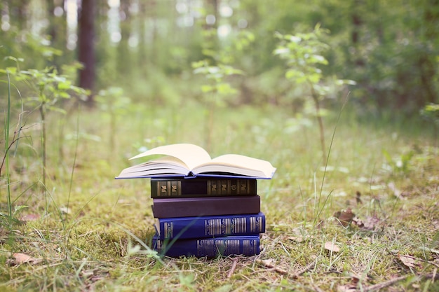 Open boeken buiten. Boeken in het bos