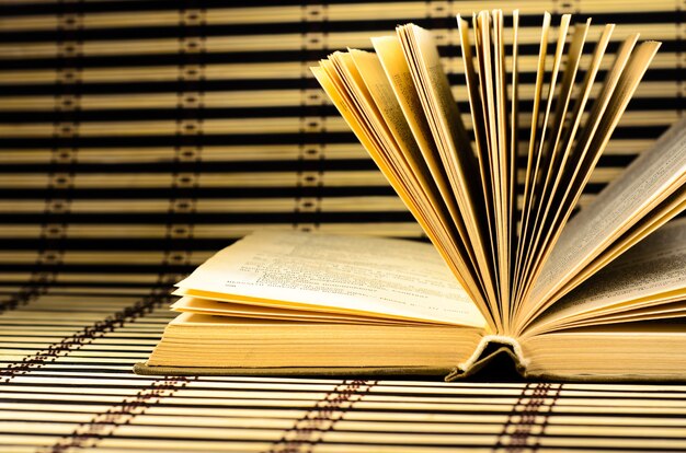 An open book on the bamboo mat