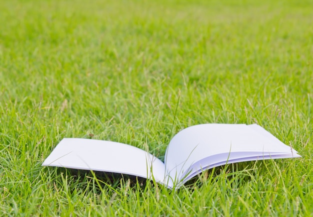 Open book on the green grass