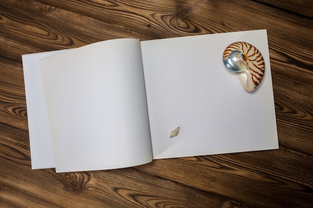 An open book, seashells and a blanket on the wooden background