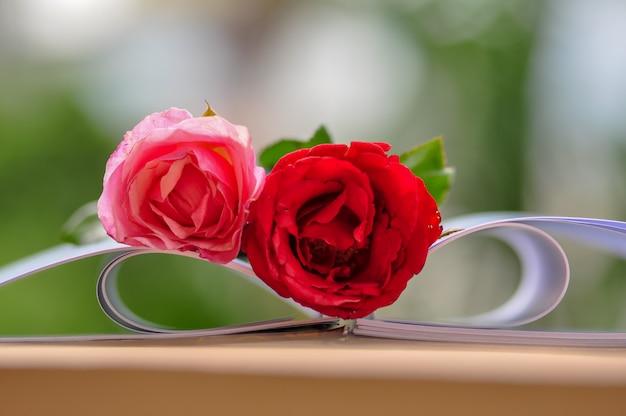 Open book with beautiful roses