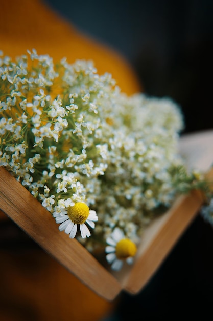 写真 野の花の花束の花束で開いた本 野の植物の花束とロマンチックな春の花束