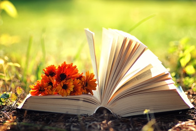 Open book with flower on grass