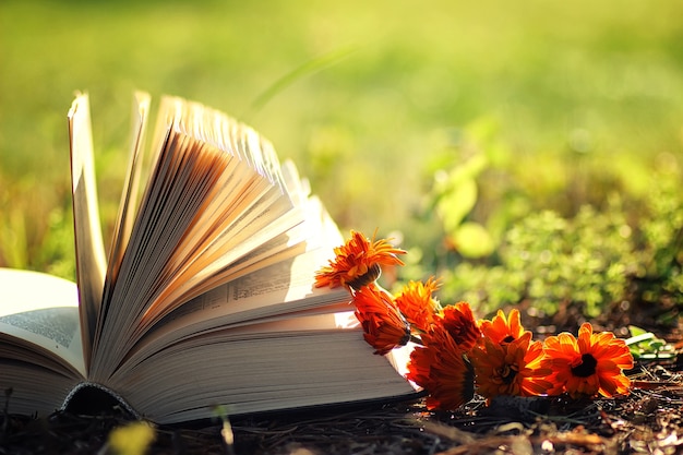 Open book with flower on grass