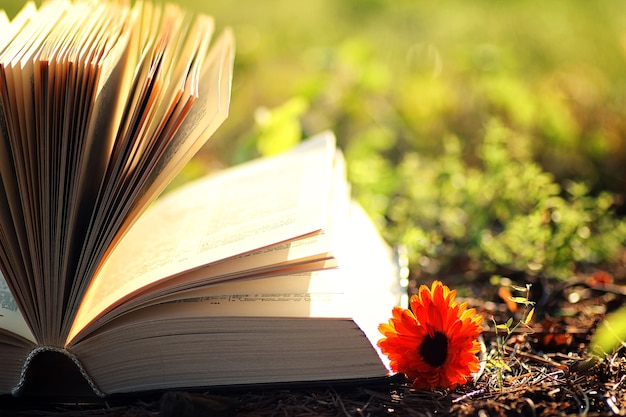 Open book with flower on grass