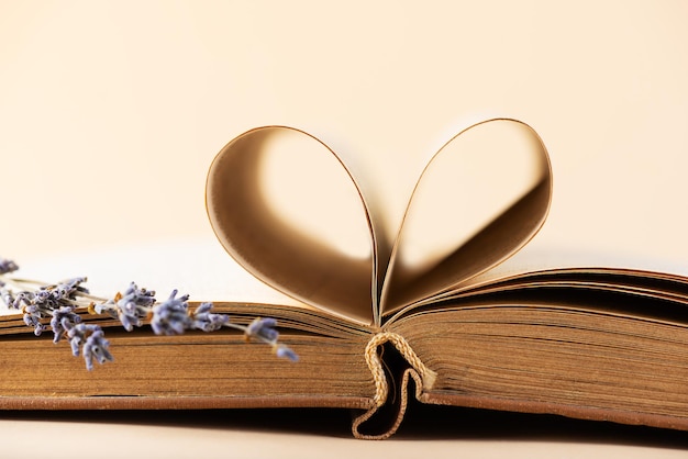 Open book with heart shaped pages and lavender flowers on beige background education learning study