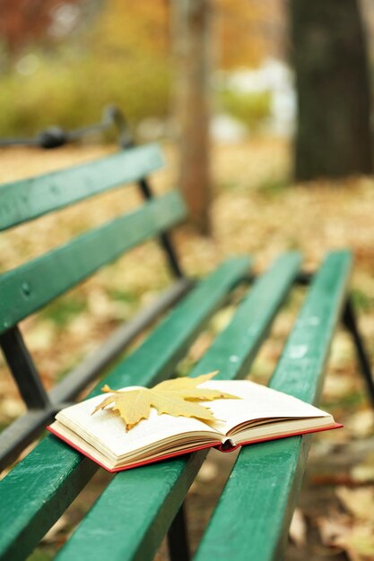 Open book with leaf on it lying on the bench in autumn park