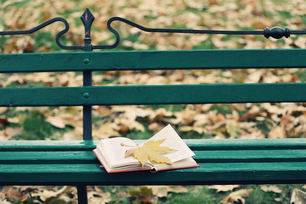 Open book with leaf on it lying on the bench in autumn park