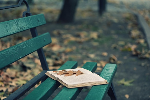 秋の公園のベンチに葉が横たわっている開いた本