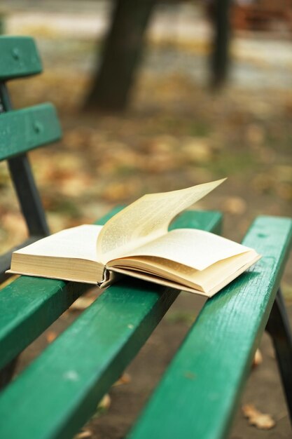 Open book with leaf lying on the bench in autumn park