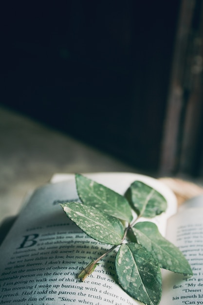 Foto libro aperto con foglie all'interno