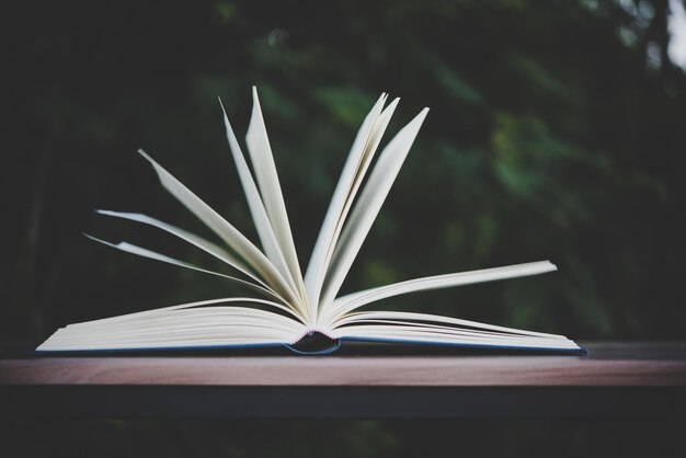 Open book on wooden table outdoors