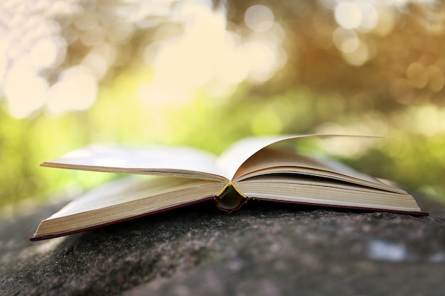 Open books outdoor. Books in the woods