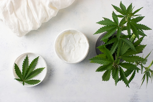 Open can of cream and hemp leaves on a light background