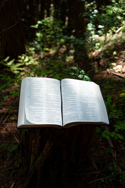 Open de Heilige Bijbel op Psalm 119 buiten op een kansel van gesneden boomstam