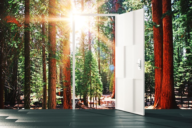 Photo open door to the sunny forest concept