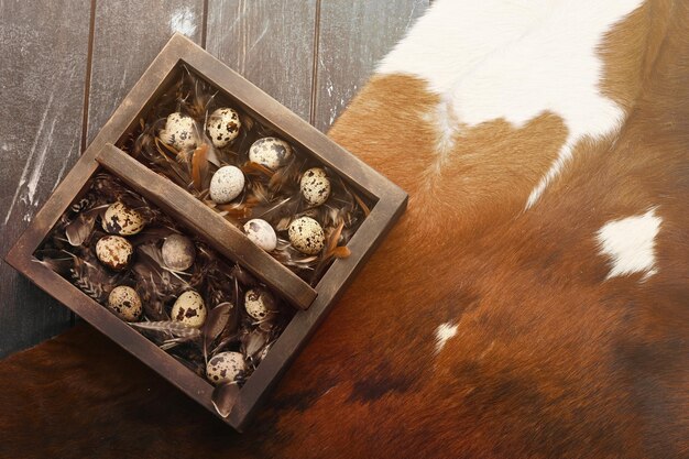 Open ecofriendly wooden box with feathers and quail eggs on animal skin