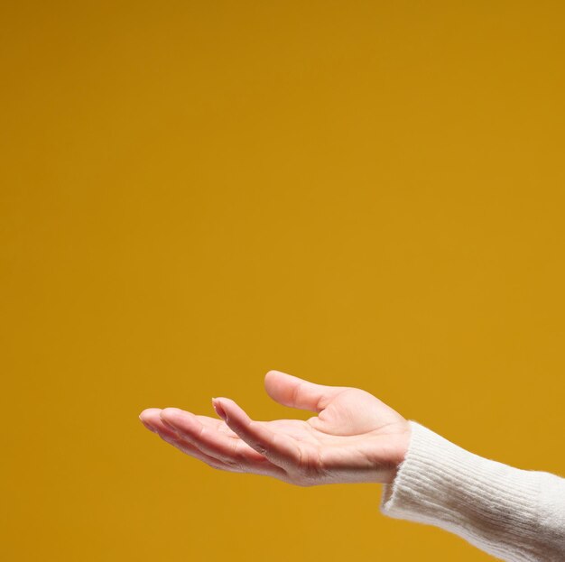 Open female palm on a yellow background holding something