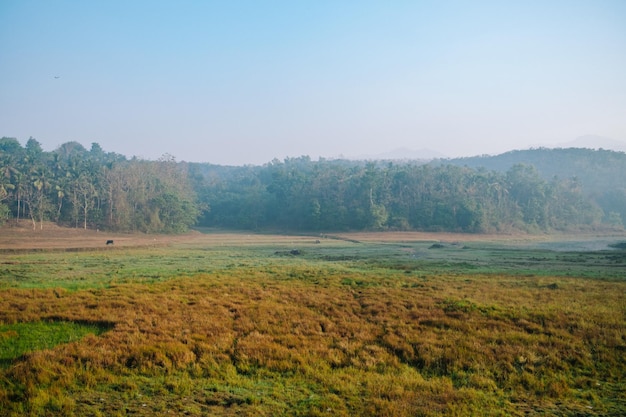 An open field during sunrise