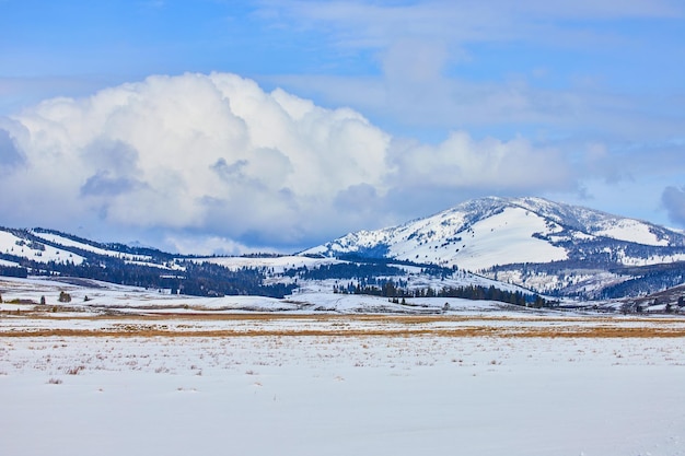 Open field with stunning snowcovered mountains