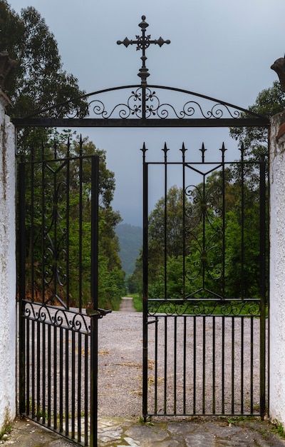 Photo open gate leading to path in forest