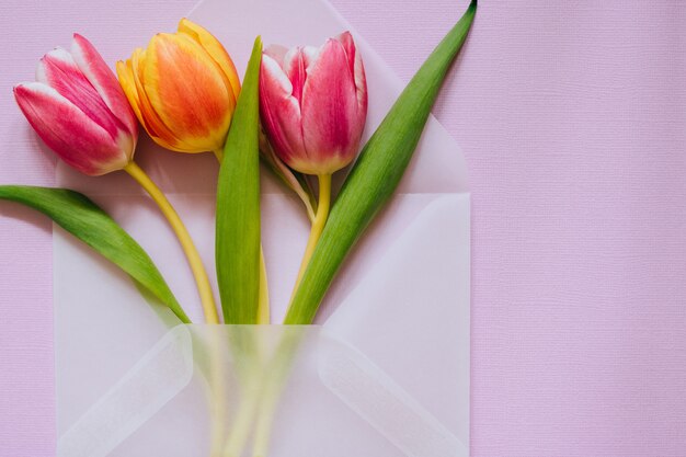 Open matte transparent envelope with multicolored tulips on violet background