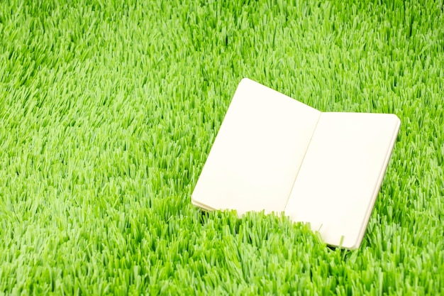 Open notebook on green grass, Business and Education c