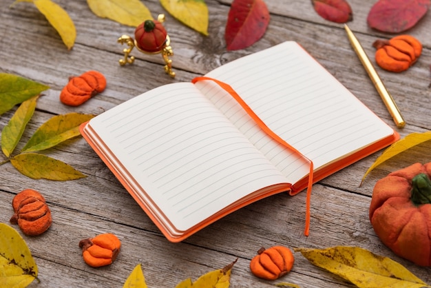 An open notebook lies on a table with fallen leaves