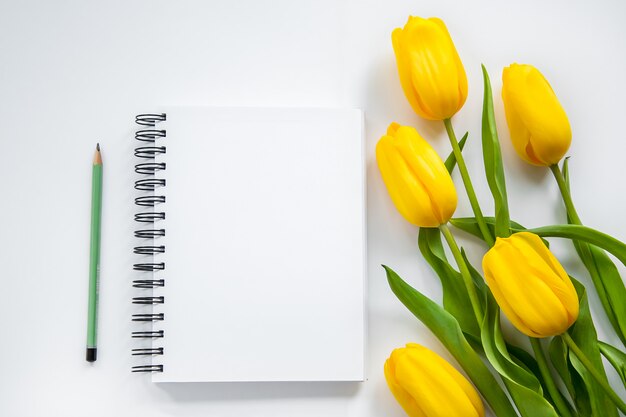 Open notepad, pencil and yellow tulips