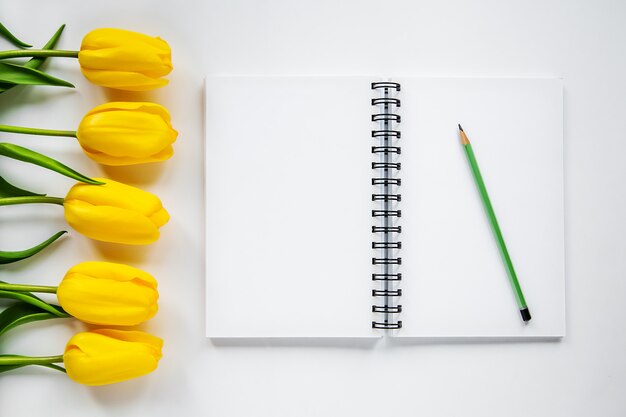 Open notepad, pencil and yellow tulips