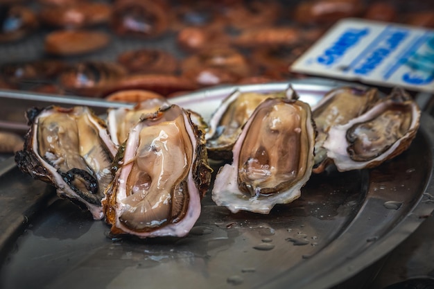 Open oesters bij een van de viskraampjes die je op de vismarkt in Catania kunt vinden. Italië.