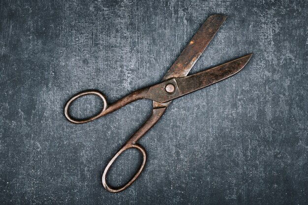 Open old tailor shears on gray, close up