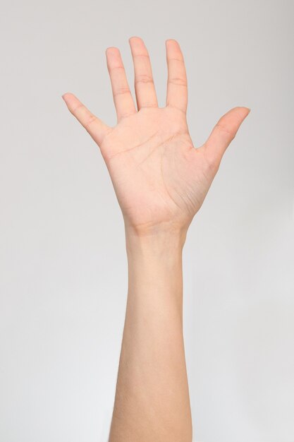 Open palm gesture isolated on white background.